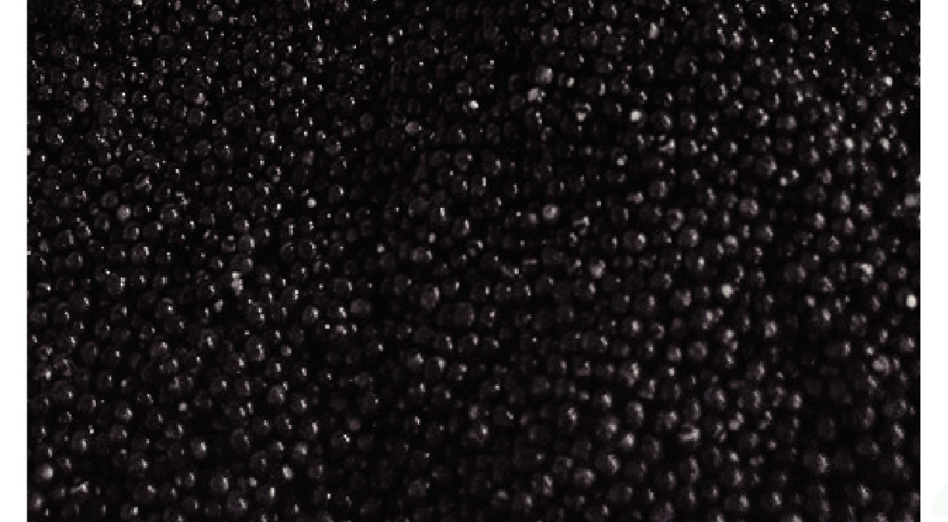 Maxspect Nano-Tech Anaerobic Blocks - 2 pack