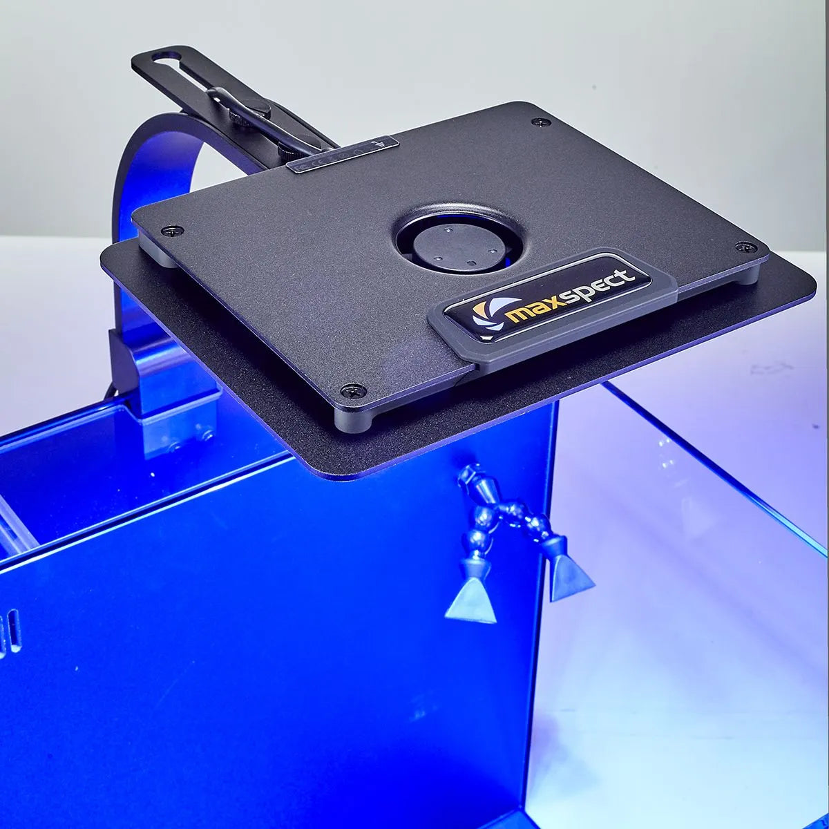 Maxspect Dice AIO 12 Gallon Nano Cube Aquarium with MJ-L165 LED