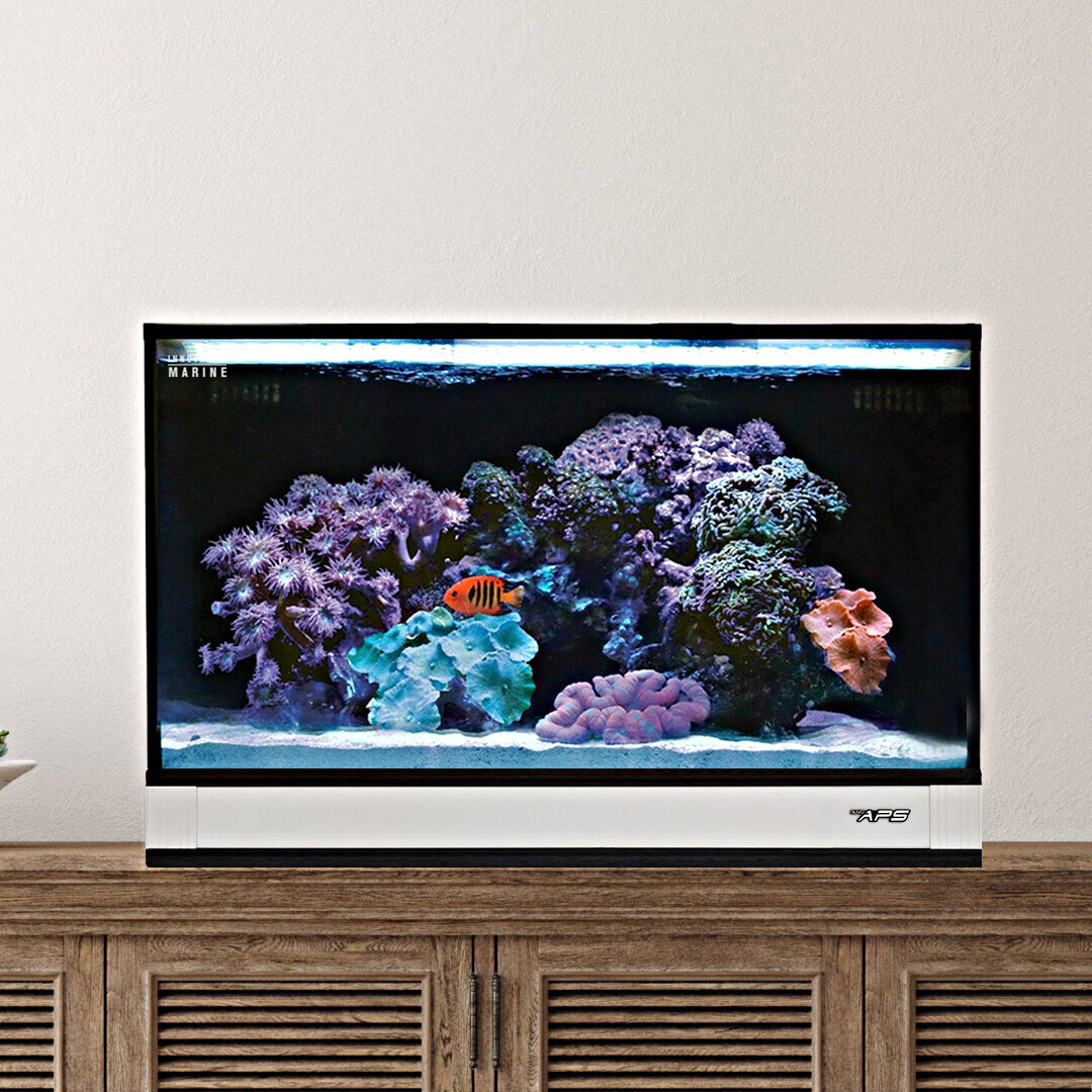 Innovative Marine NUVO Fusion Pro 2 - 20 AIO Aquarium w/ APS Pedestal - White