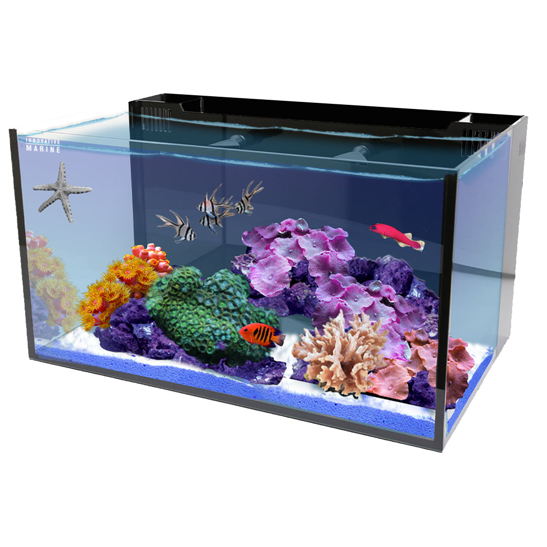 Innovative Marine NUVO Fusion - 20 Long AIO Aquarium - Desktop