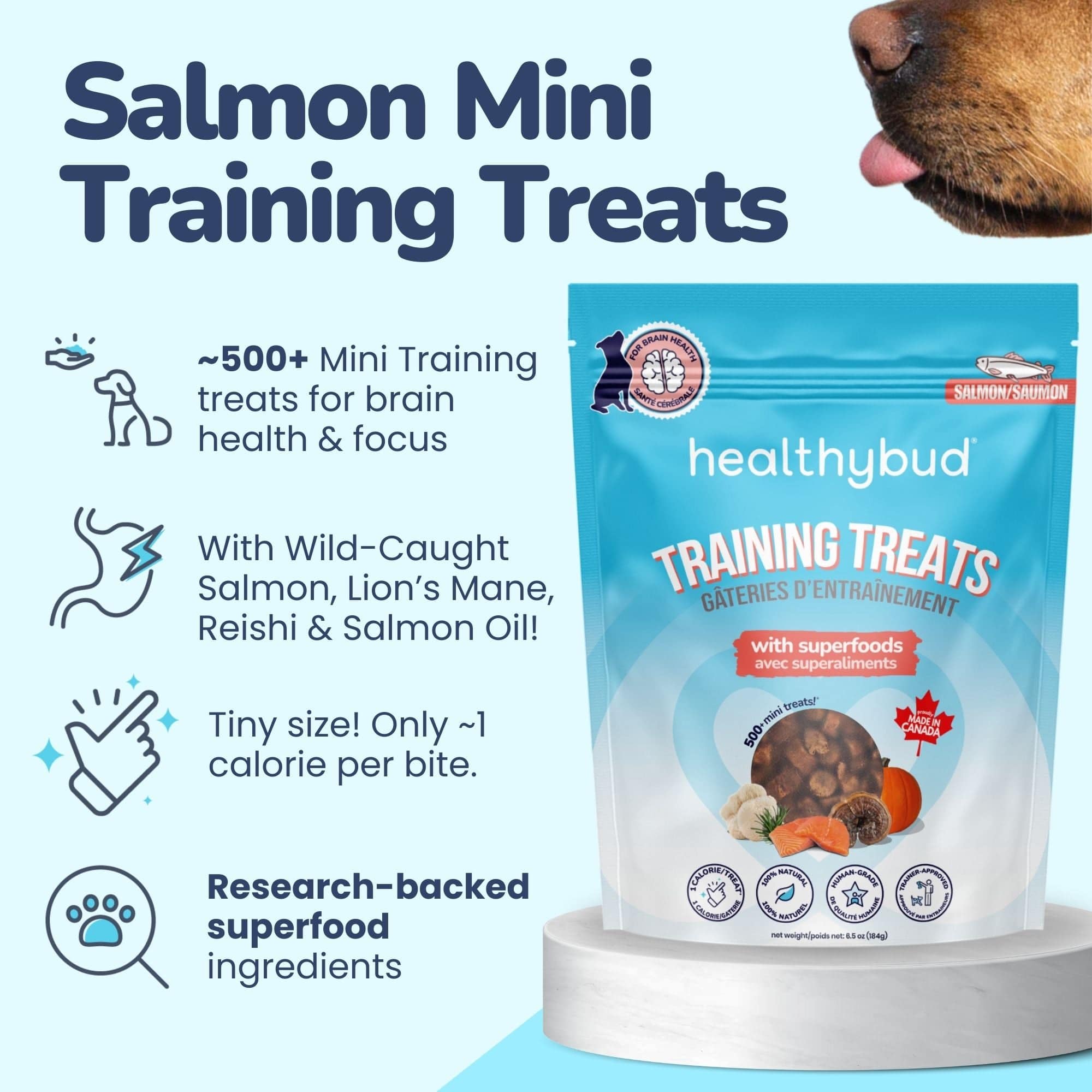 Healthybud Salmon Mini Training Treats - 184g - The Pet Source