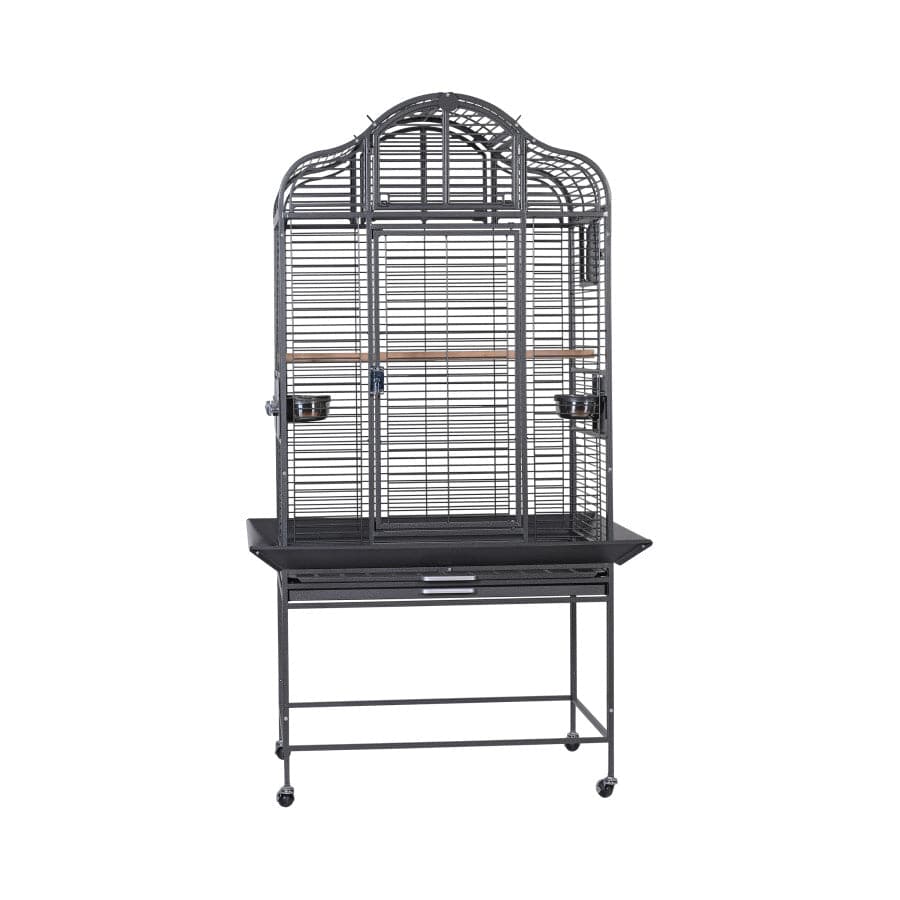 A & E Cages Majestic Parrot Cage Black - Medium - The Pet Source