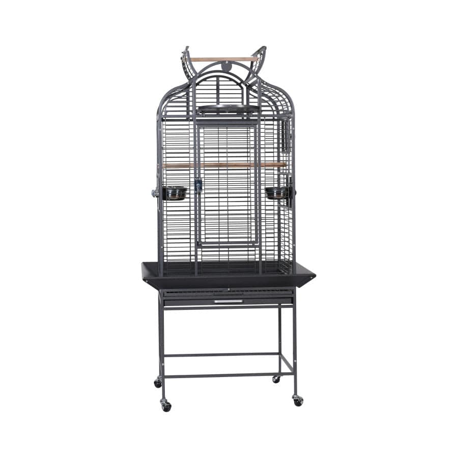A & E Cages Majestic Parrot Cage Black - Small - The Pet Source