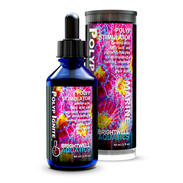 Brightwell Aquatics Polyp Ignite - 60ml