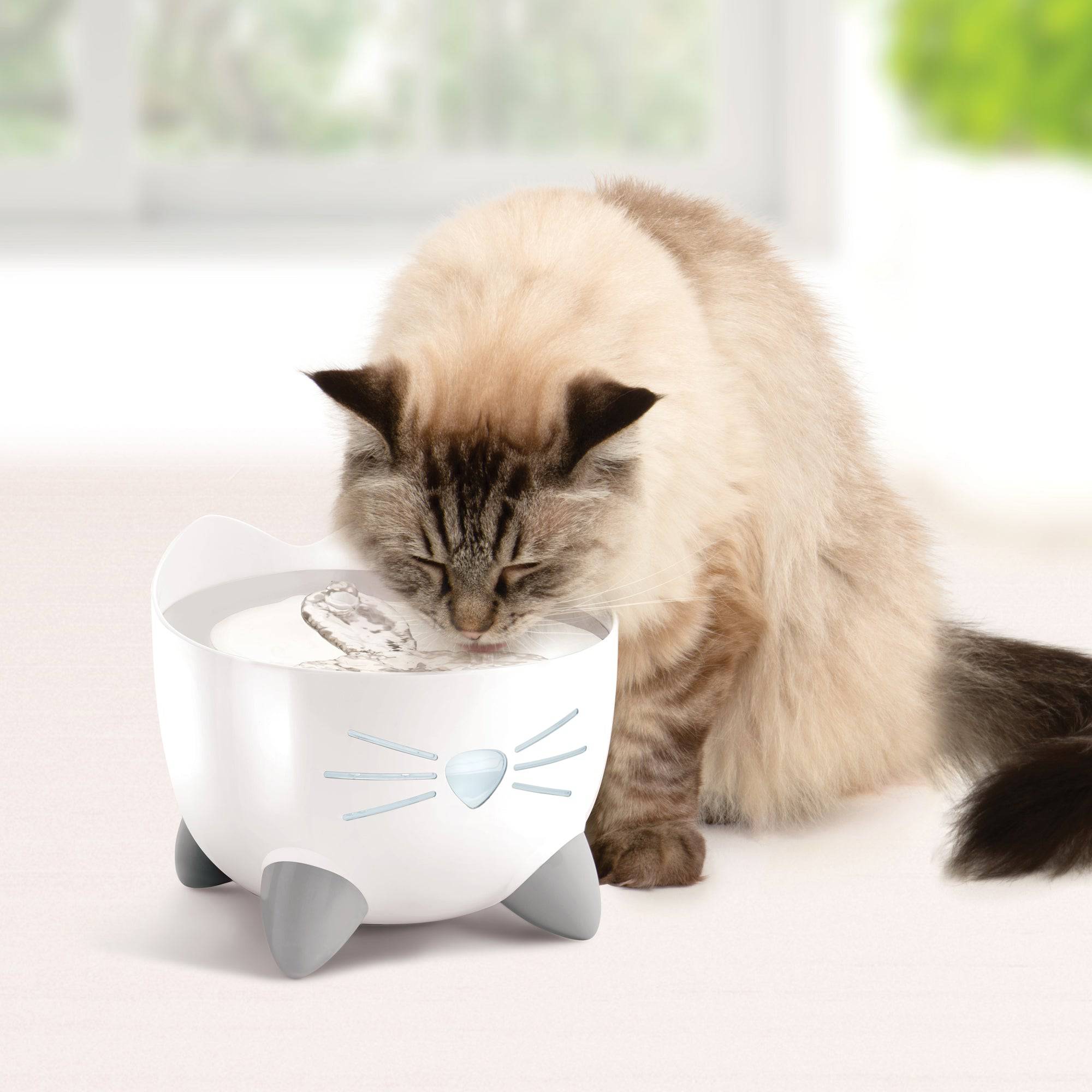 Catit PIXI Fountain - White with Stainless Steel Top - 2.5L - The Pet Source