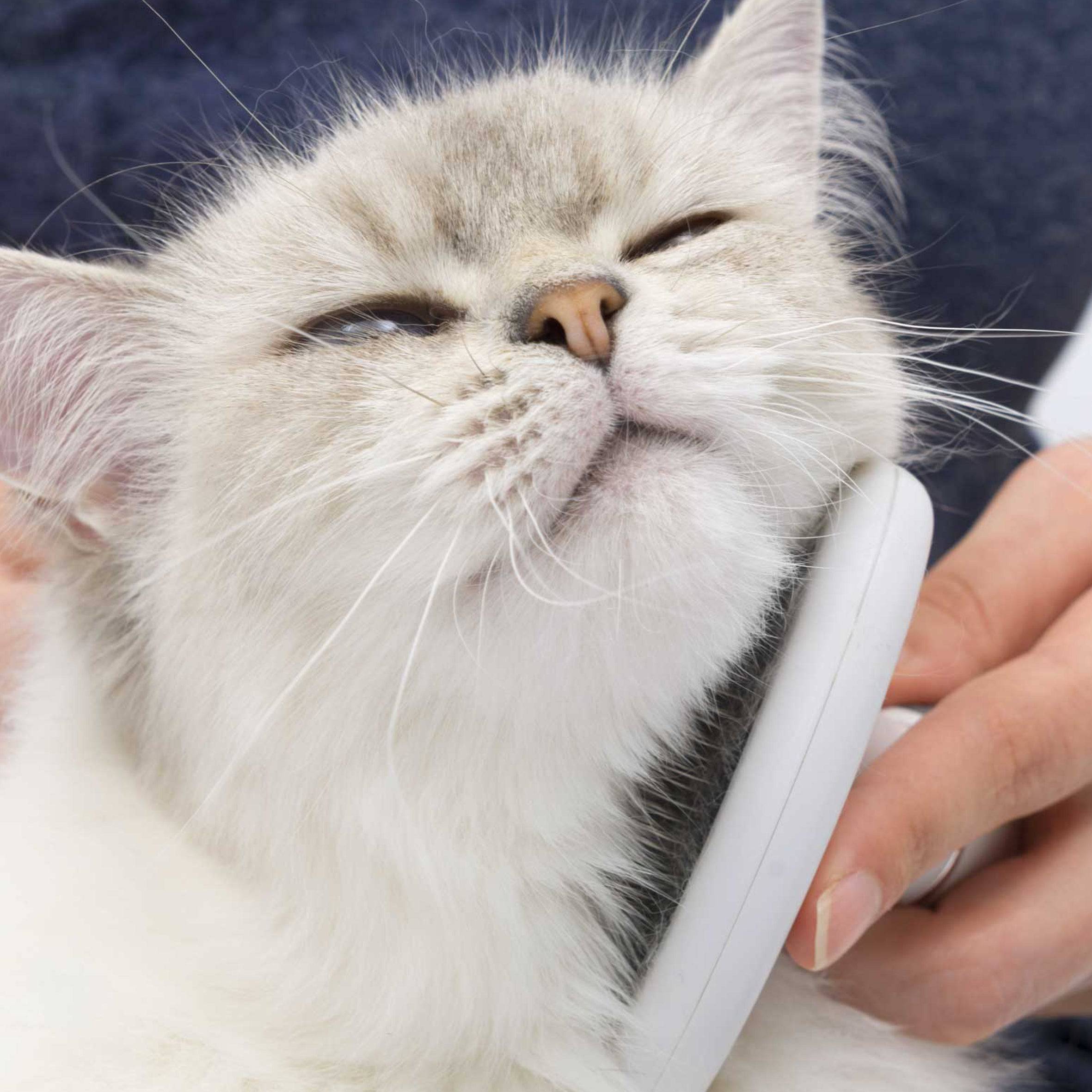 Catit Longhair Grooming Kit - The Pet Source