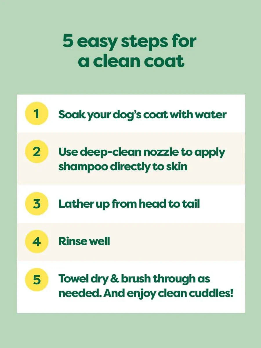 earth rated Curly Coat 3-in-1 Dog Shampoo - 16oz - The Pet Source