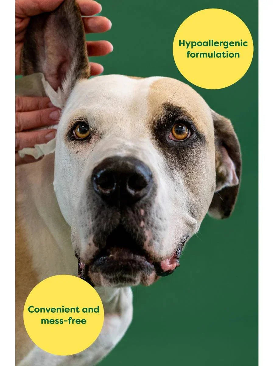 earth rated Ear Wipes - 60 ct - The Pet Source