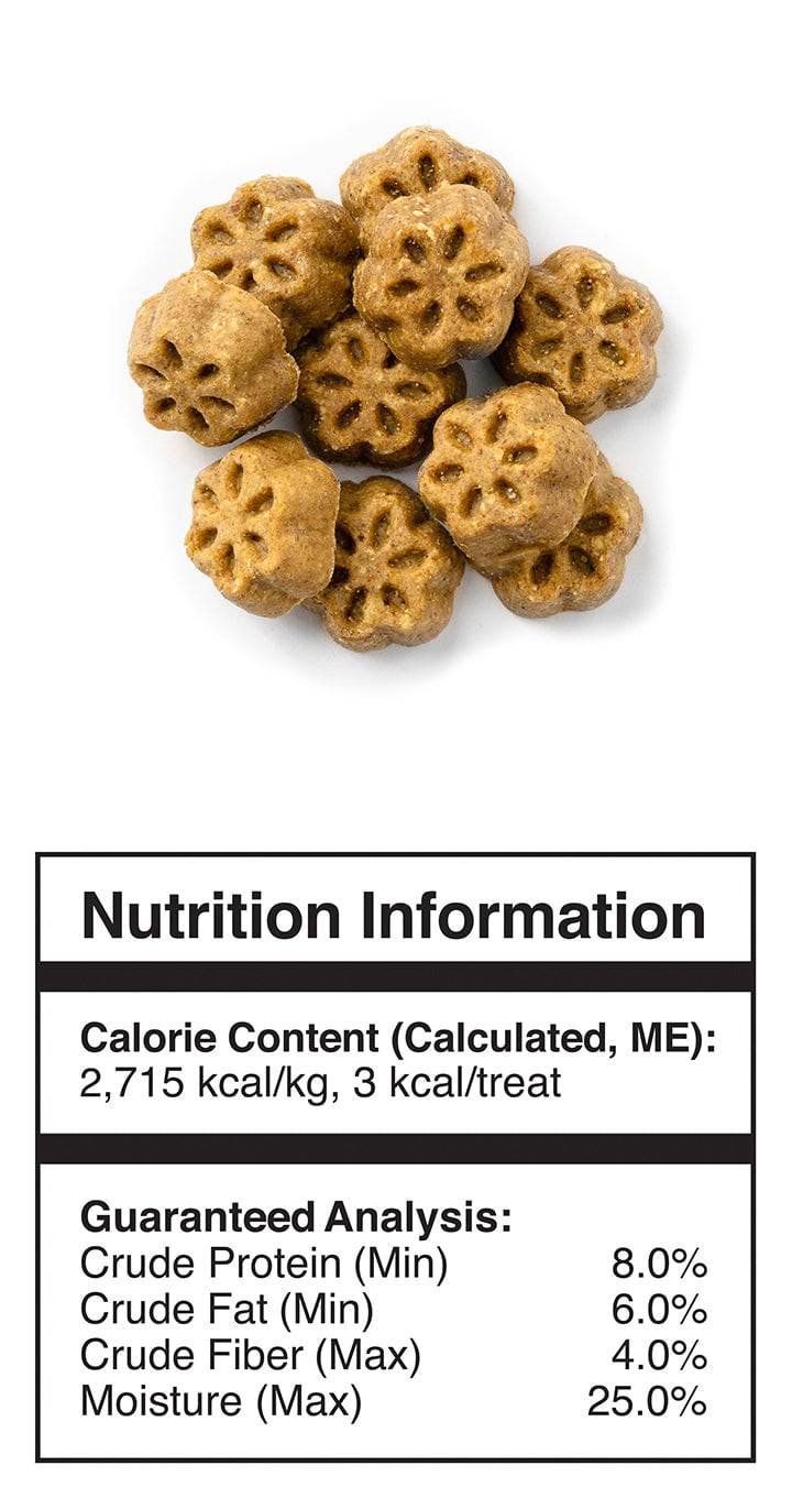 Fruitables Skinny Minis Grilled Bison Dog Treats - 12 oz - The Pet Source