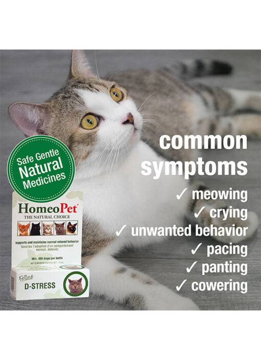 HomeoPet Feline D-Stress - 15ml - The Pet Source