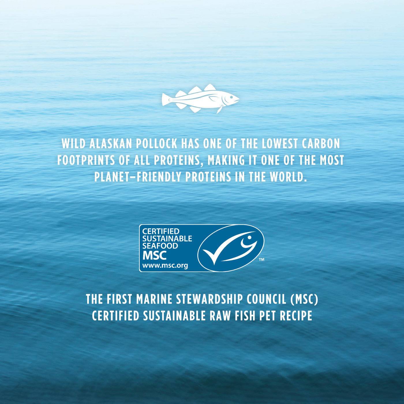 Instinct Raw Longevity Frozen Bites Adult Dog Food Wild-Caught Alaskan Pollock - 4lb - The Pet Source