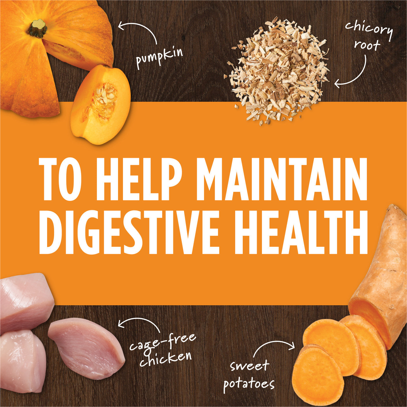 Instinct Raw Boost Mixers Gut Health Dog Food Topper - 12.5oz