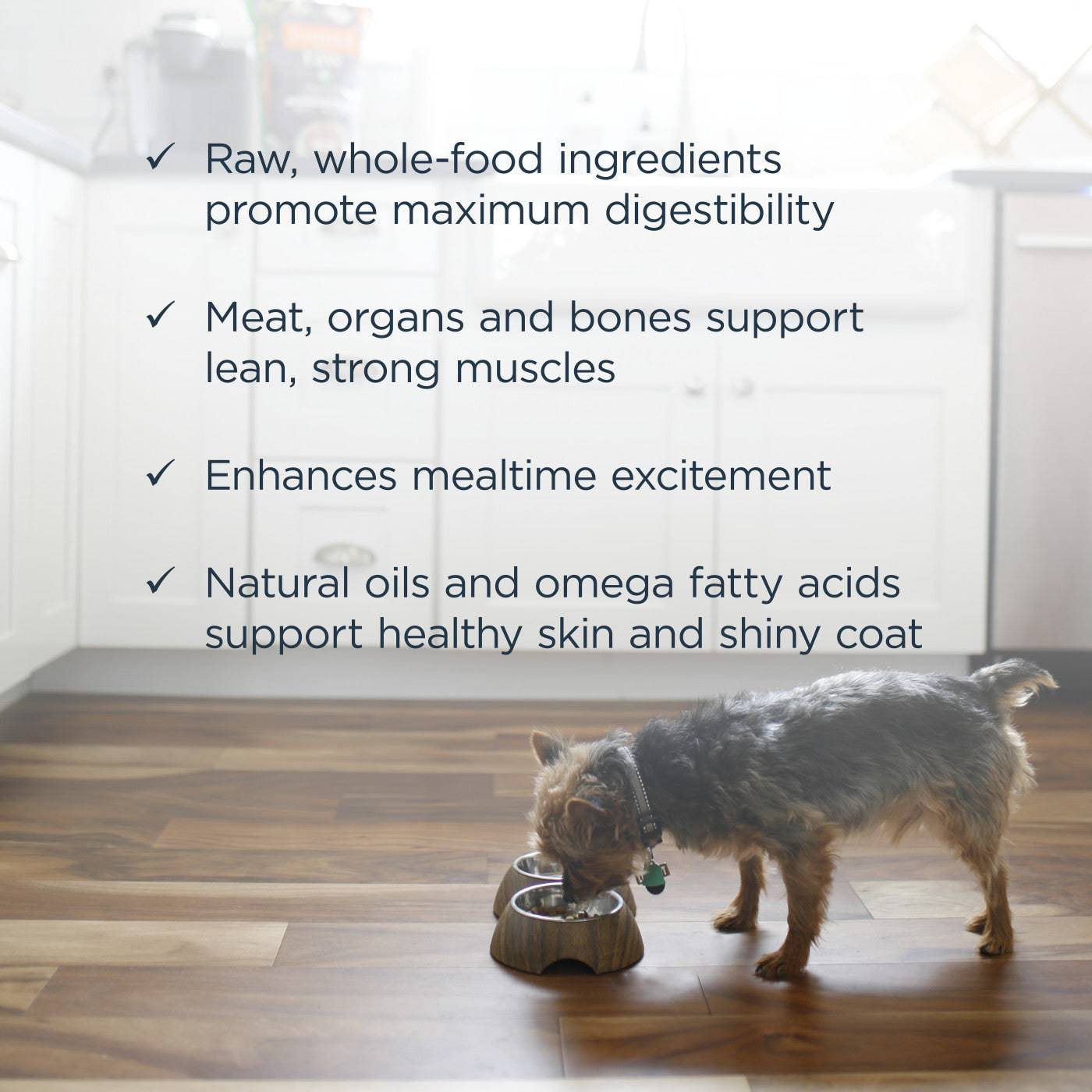 Instinct Raw Frozen Bites Adult Dog Food Real Beef - 6lb - The Pet Source