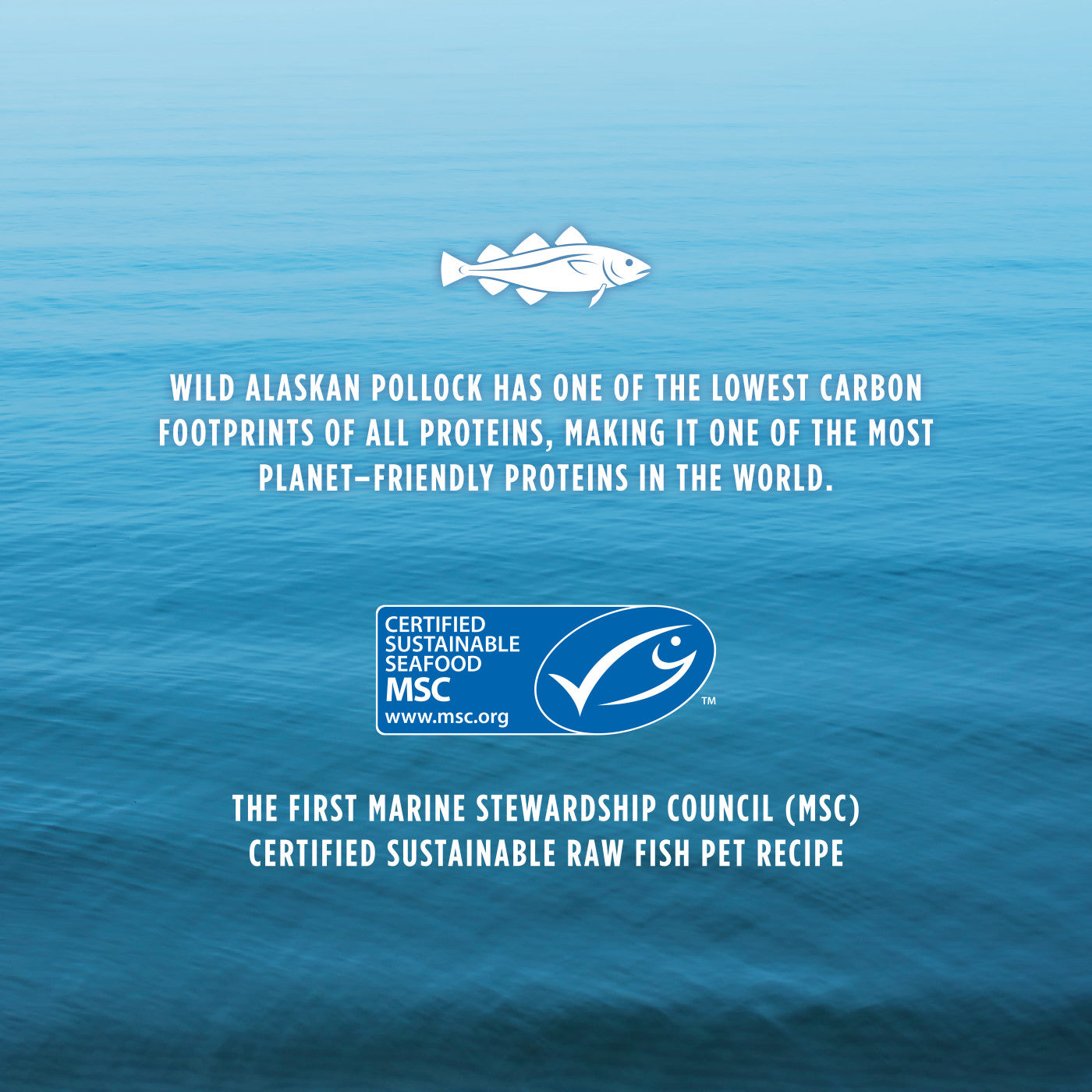 Instinct Raw Longevity Freeze Dried Bites Adult Dog Food Pollock - 4.5oz