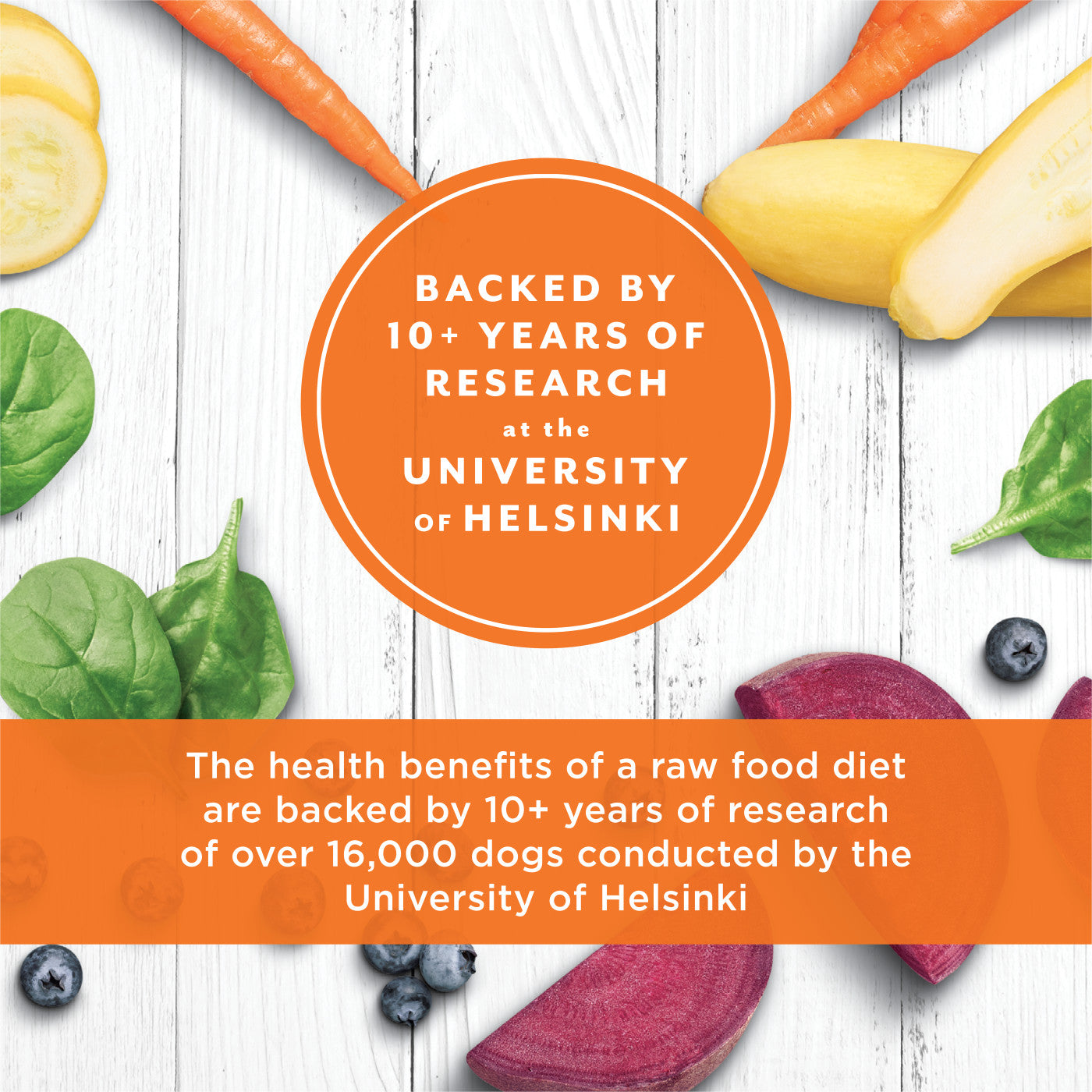 Instinct Raw Longevity Freeze Dried Bites Adult Dog Food Pollock - 14oz