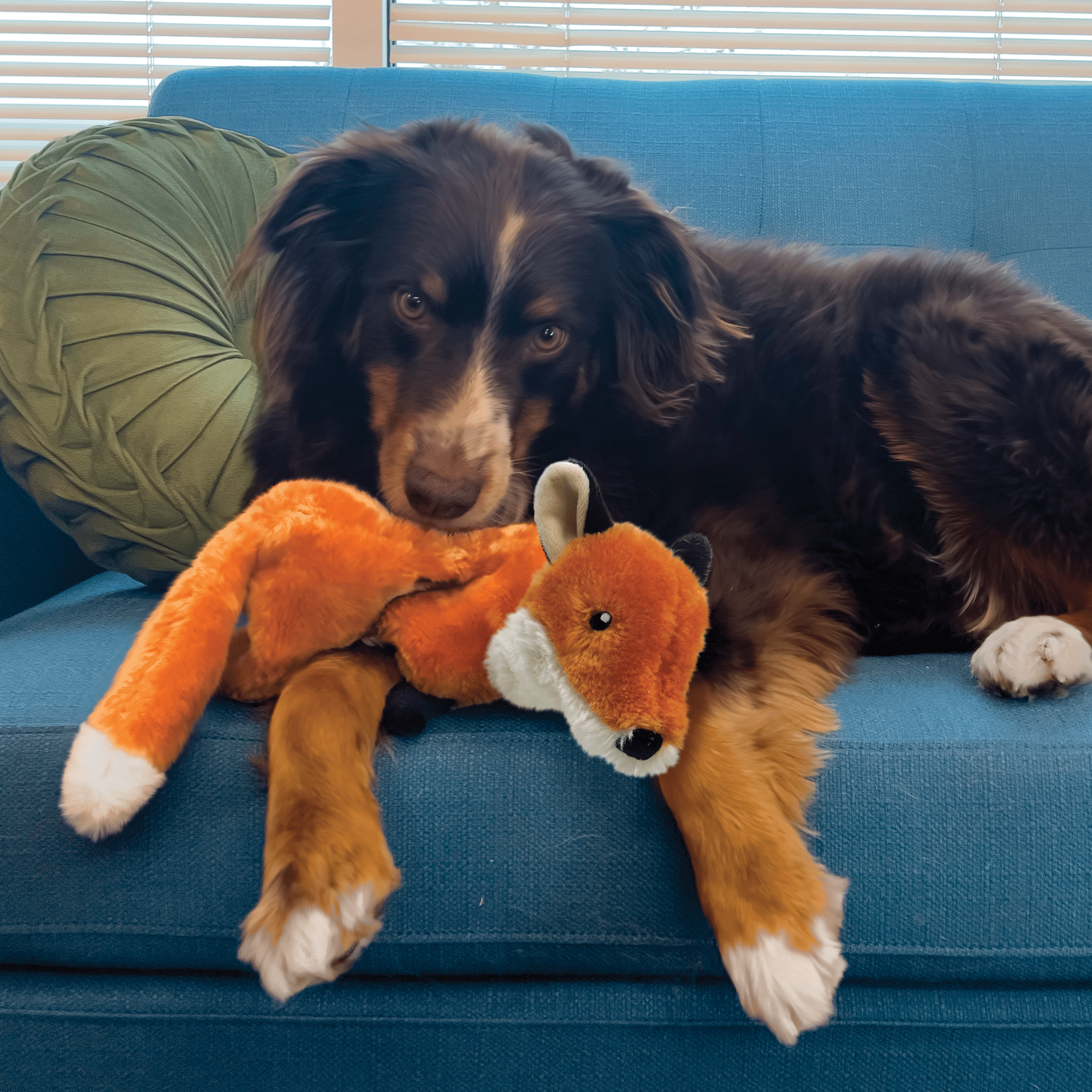 Kong Wild Low Stuff Fox Medium - The Pet Source