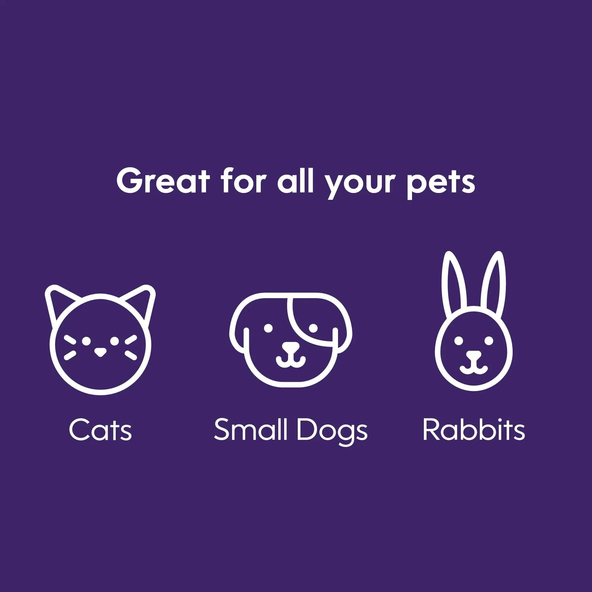 Litter Genie Plus Cat Litter Pail Disposal System - Black - The Pet Source