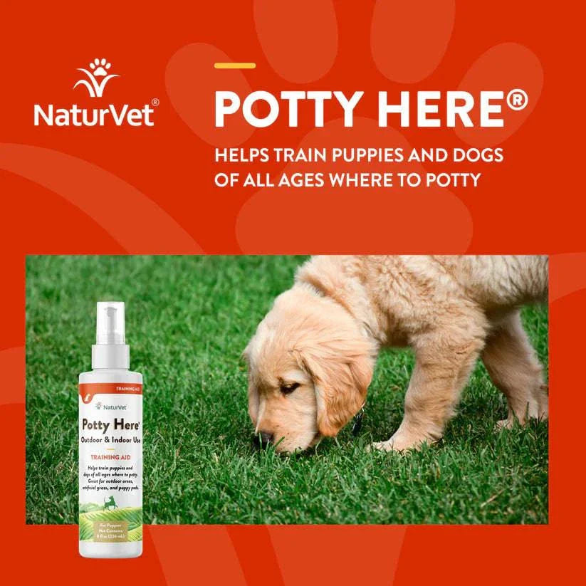 NaturVet Potty Here Training Aid Spray - 8oz - The Pet Source