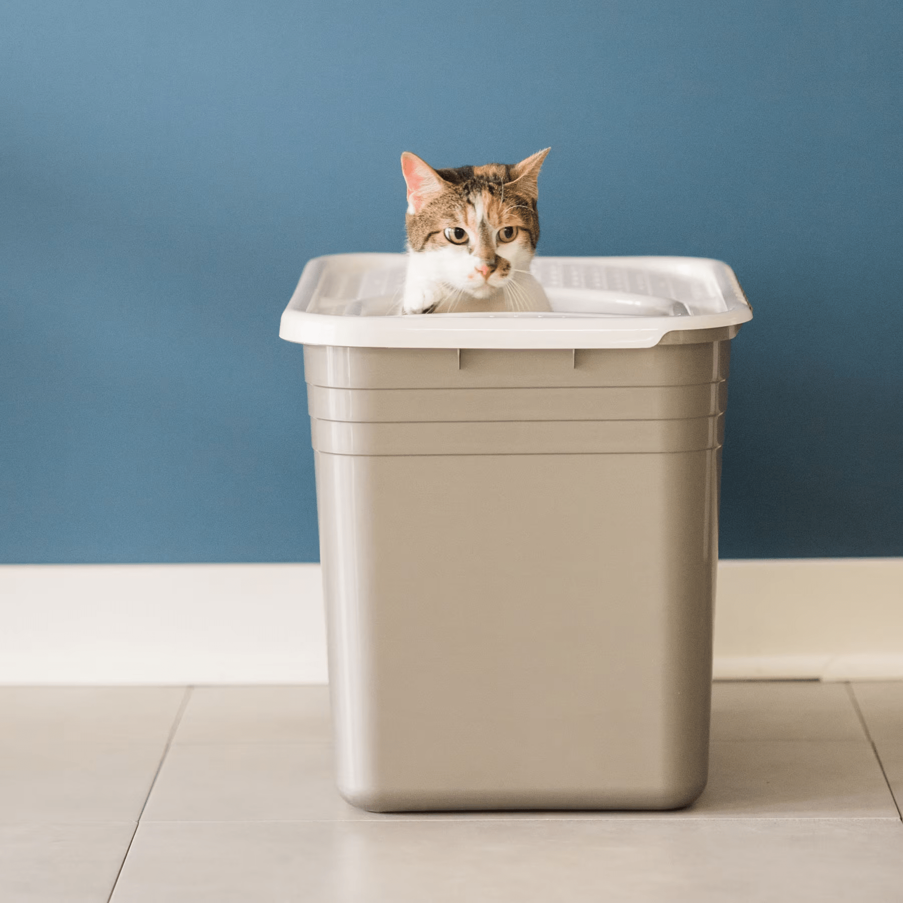 Petmate Top Entry Litter Pan - The Pet Source