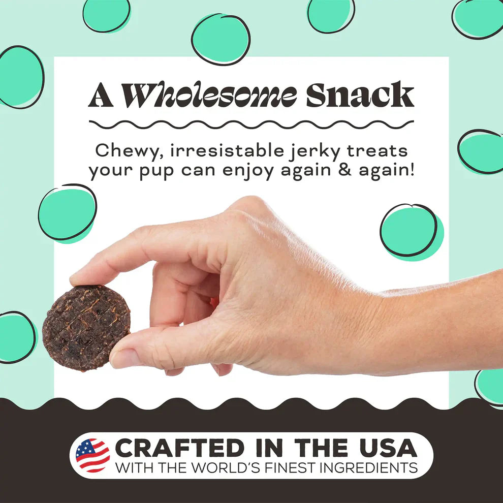 Primal FriendChips Matter Jerky Treats for Dogs Chicken Recipe - 4oz