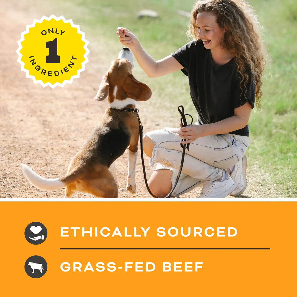 Primal Let’s All Get a Lung Dehydrated Dog Treats Beef Recipe - 1.5oz