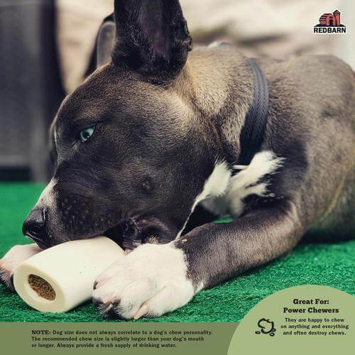 Redbarn Filled Bone Peanut Butter Dog Treat - Large - 1pc