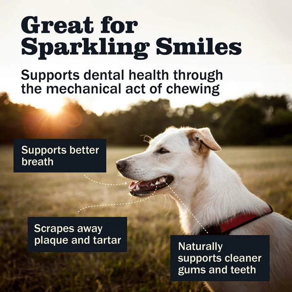 Redbarn Bully Spring Dog Chew - 1pc