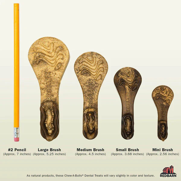 Redbarn Dental Treat Chew-A-Bulls Brush - Medium - 1pc
