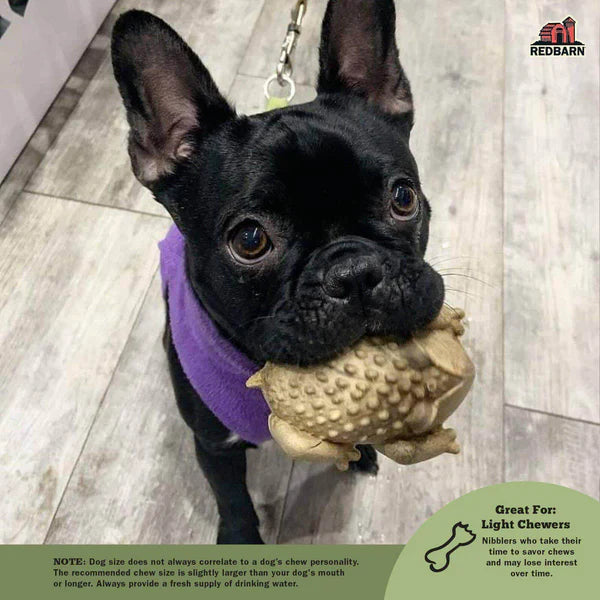 Redbarn Dental Treat Chew-A-Bulls Horned Toad - Medium - 1pc