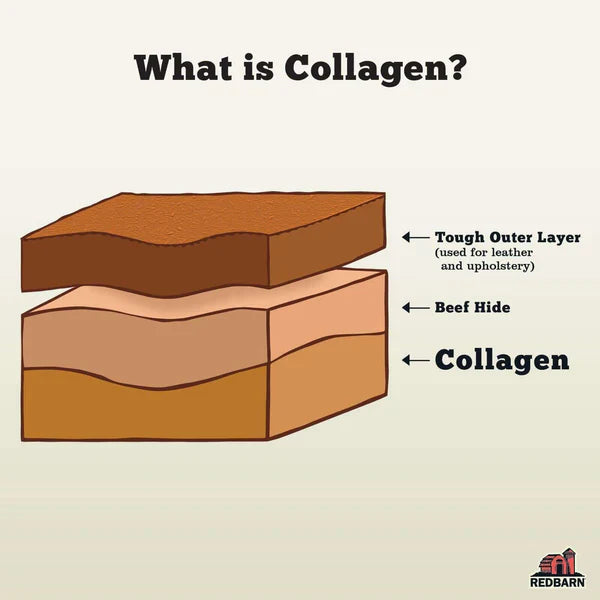 Redbarn Collagen Spring - 1pc