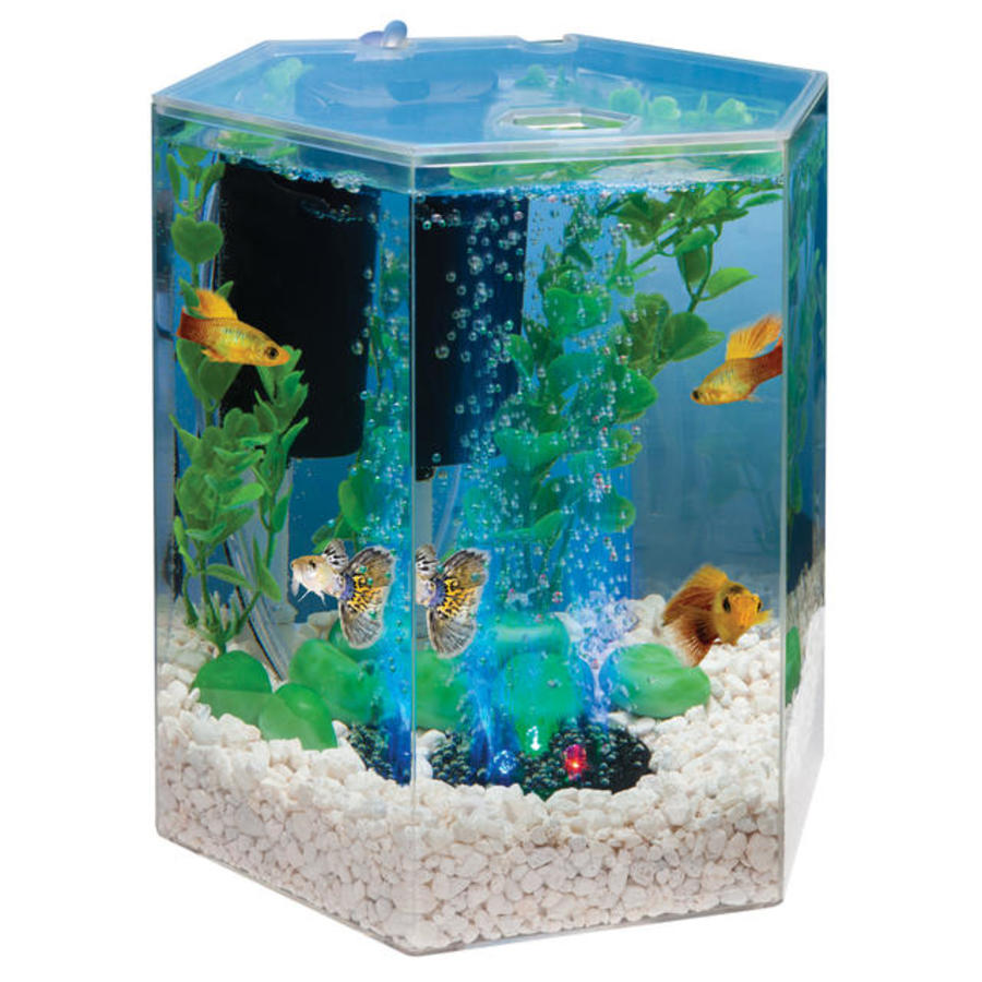 Tetra 1 Gallon Hexagon ColorFusion Starter Kit