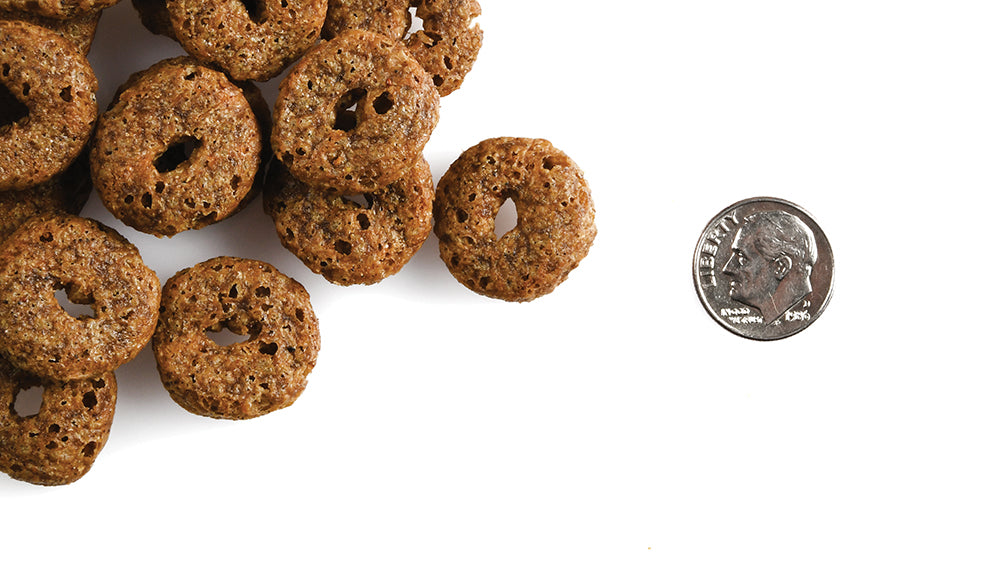 Fromm Blueberry Blasts Flavor Dog Treats - 6oz