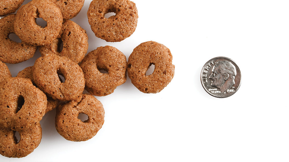 Fromm Slammon Smoked Salmon Flavor Dog Treats - 6oz