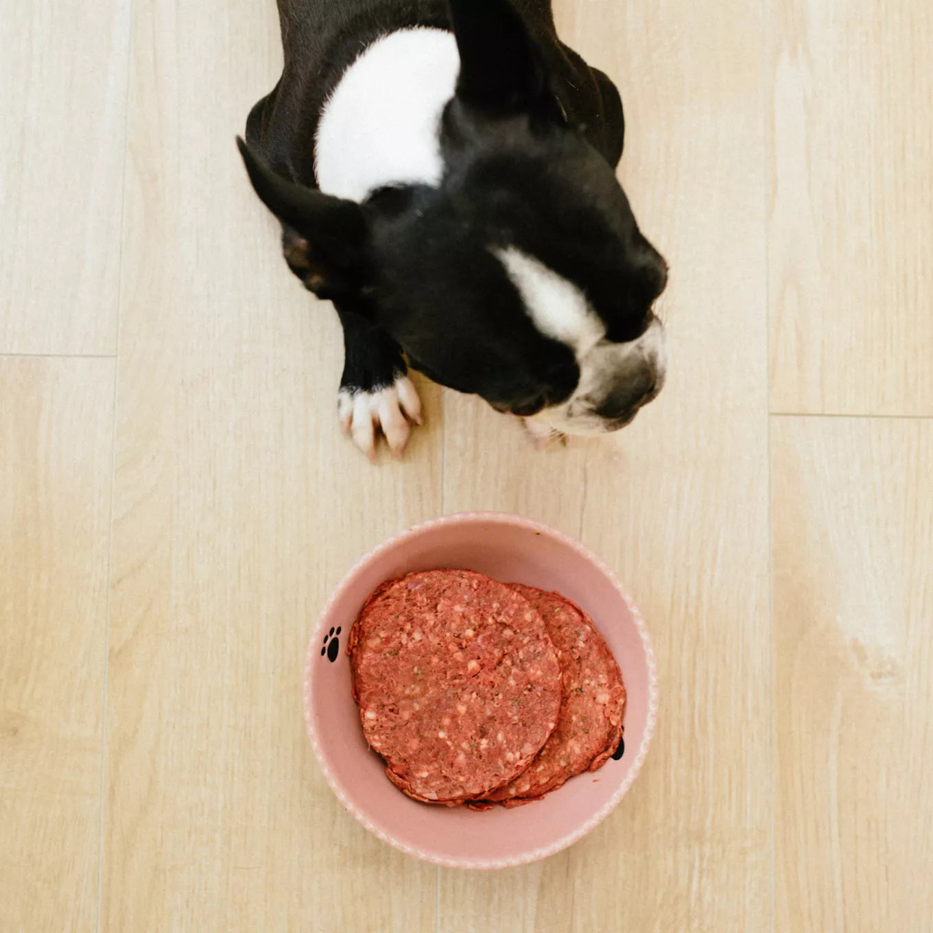 Faim Museau Hypoallergenic Duck Raw Frozen Dog Food - 6lb