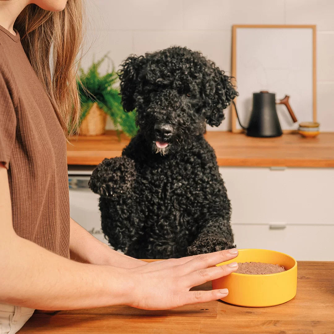 Faim Museau Chicken & Turkey Raw Frozen Dog Food - 6lb