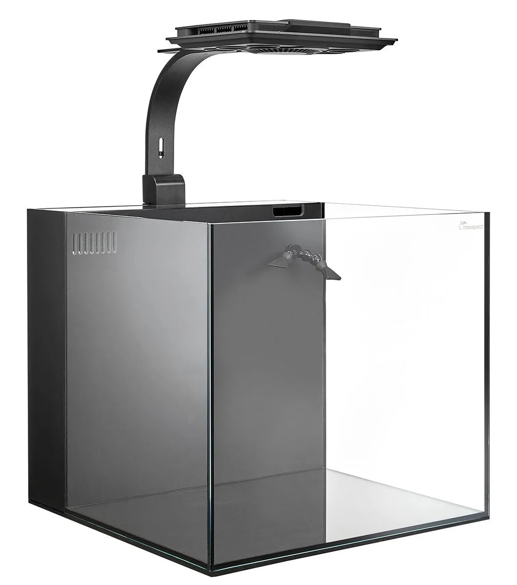 Maxspect Dice AIO 12 Gallon Nano Cube Aquarium with MJ-L165 LED