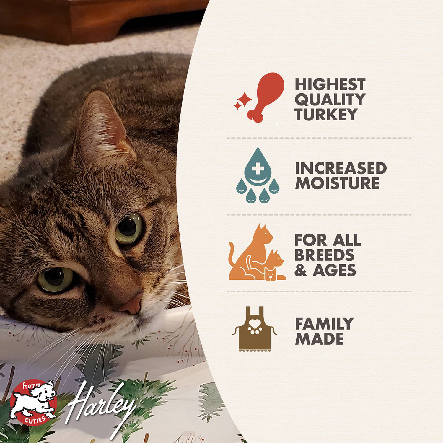 Fromm Four Star Turkey Pâté Wet Cat Food - 155g