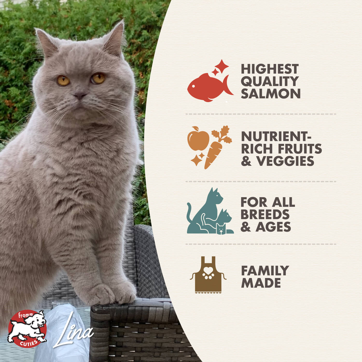 Fromm Salmon Tunachovy Recipe Dry Cat Food - 4.54kg