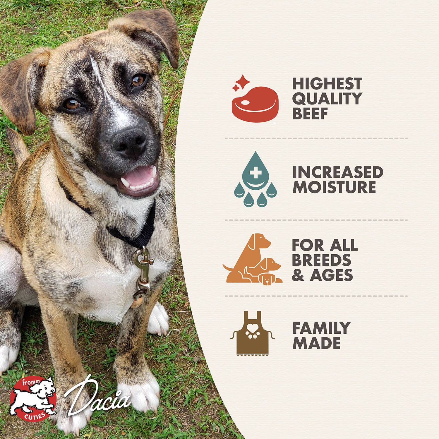 Fromm Beef & Sweet Potato Pâté Wet Dog Food - 12.2oz