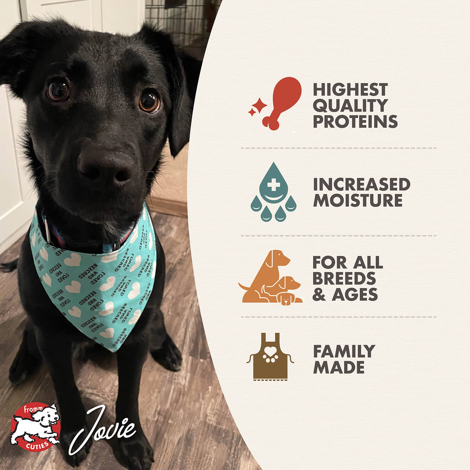 Fromm Chicken & Duck Pâté Wet Dog Food - 12.2oz