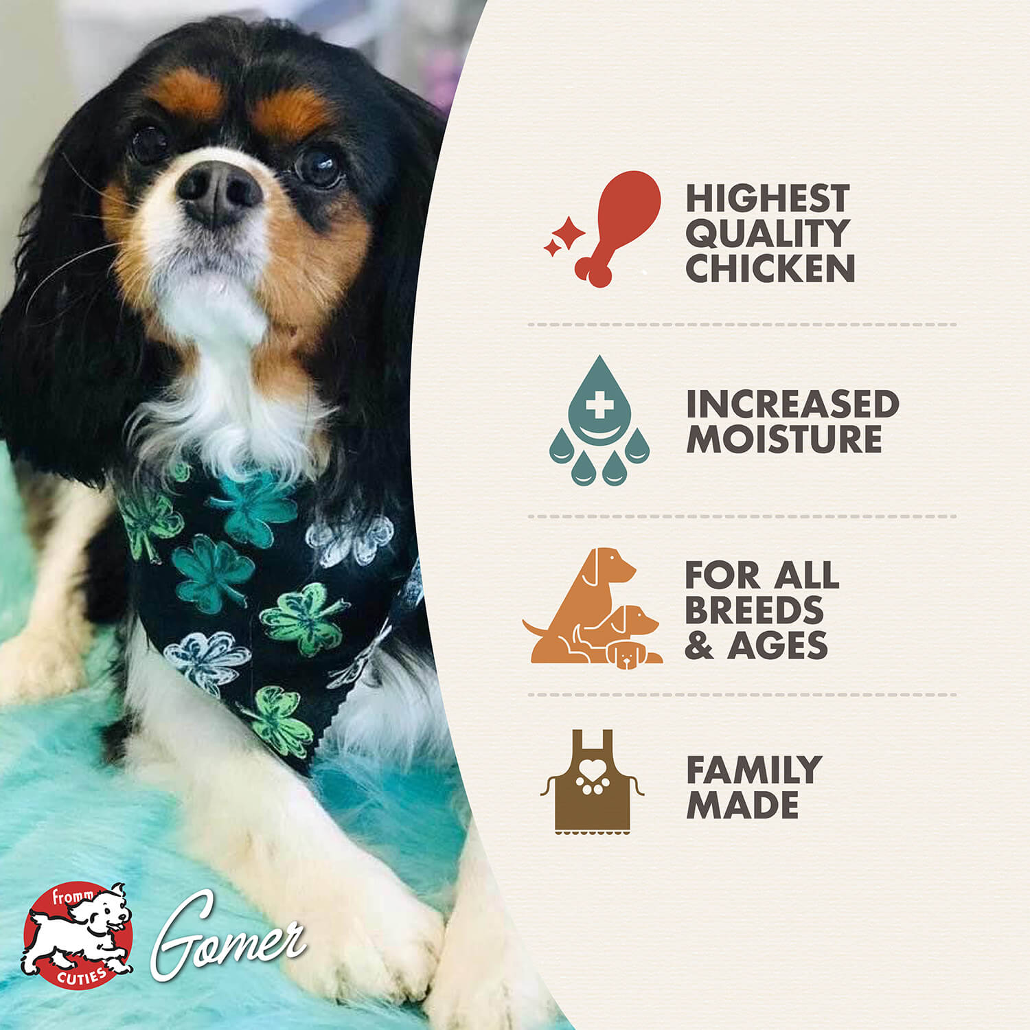 Fromm Chicken Pâté Wet Dog Food - 12.2oz