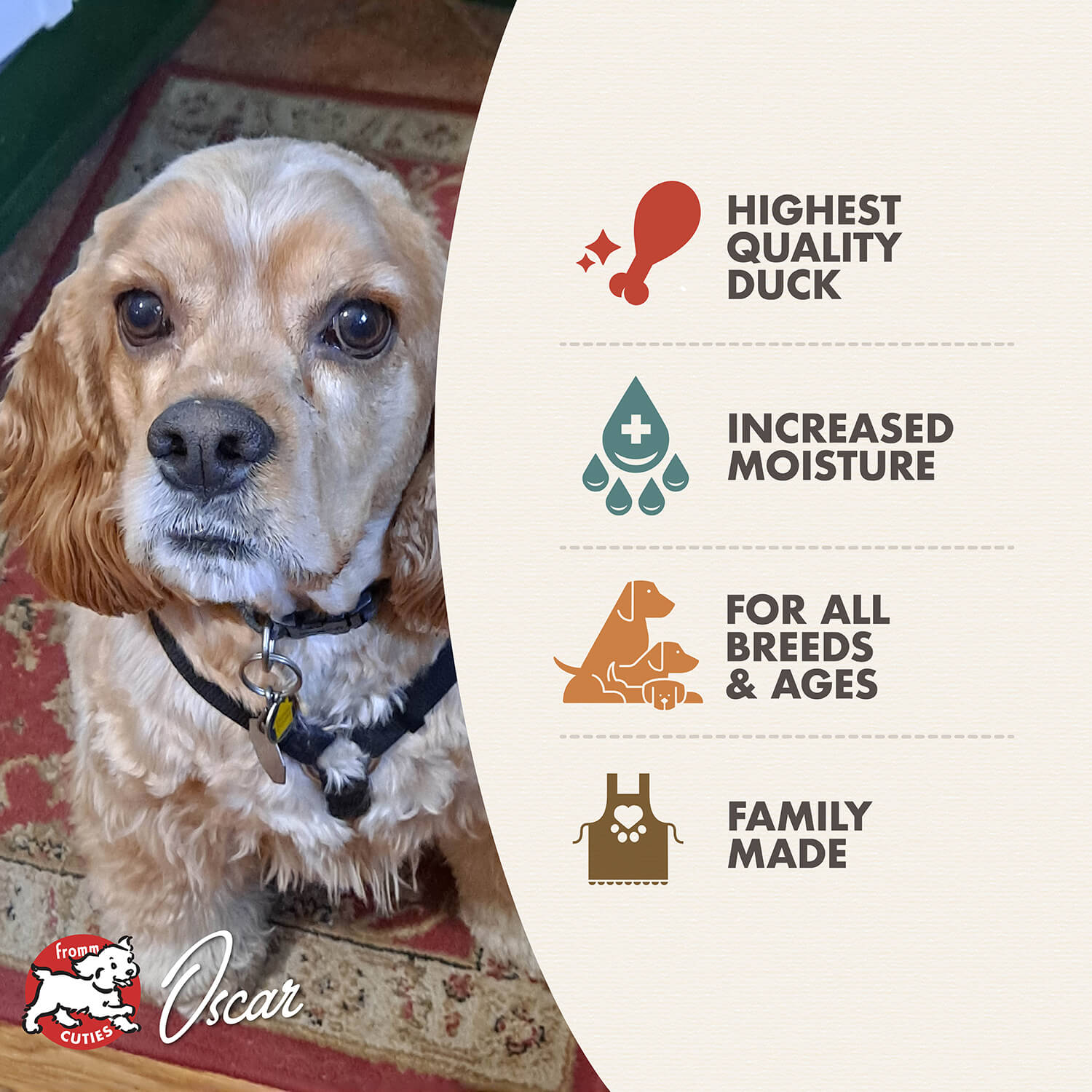 Fromm Duck À La Veg Pâté Wet Dog Food - 12.2oz