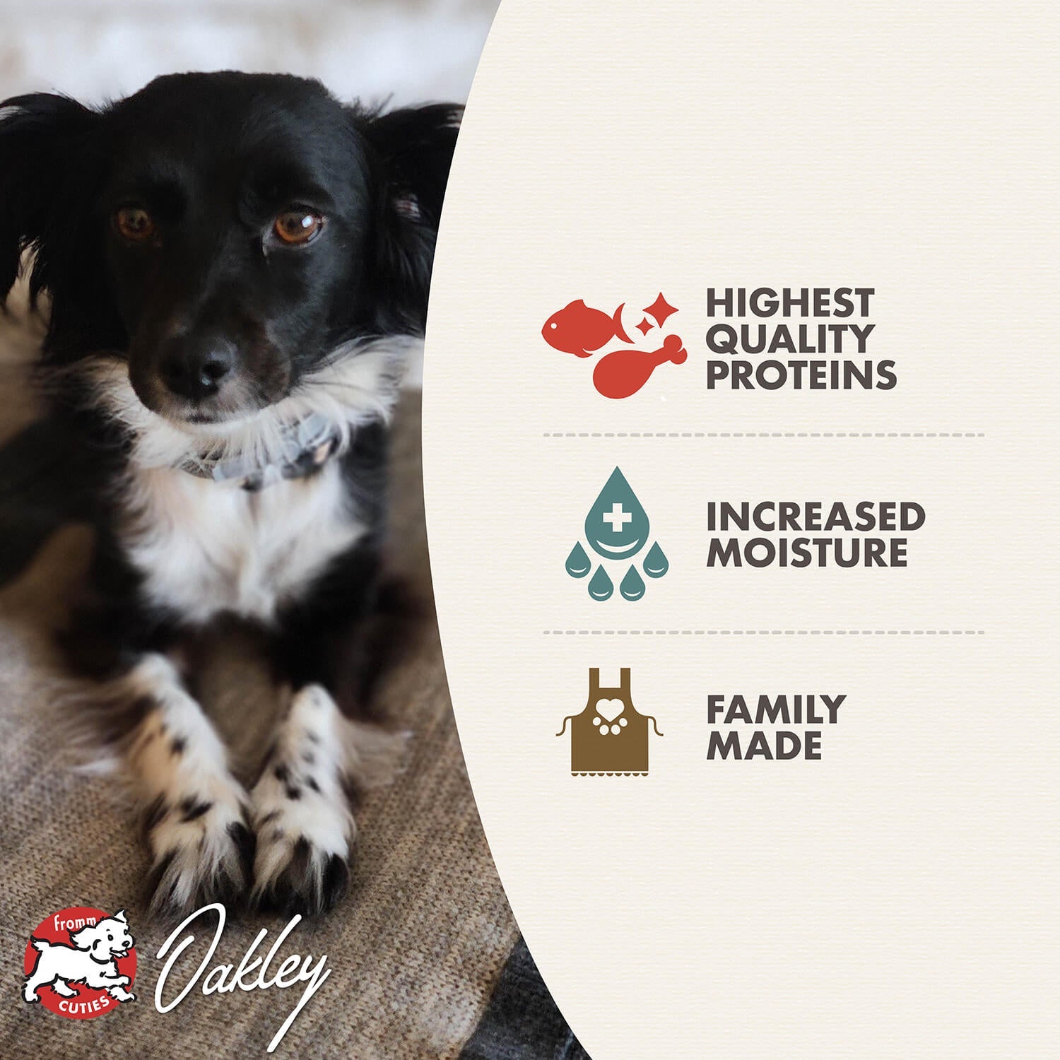 Fromm Salmon & Chicken Pâté Wet Dog Food - 12.2oz