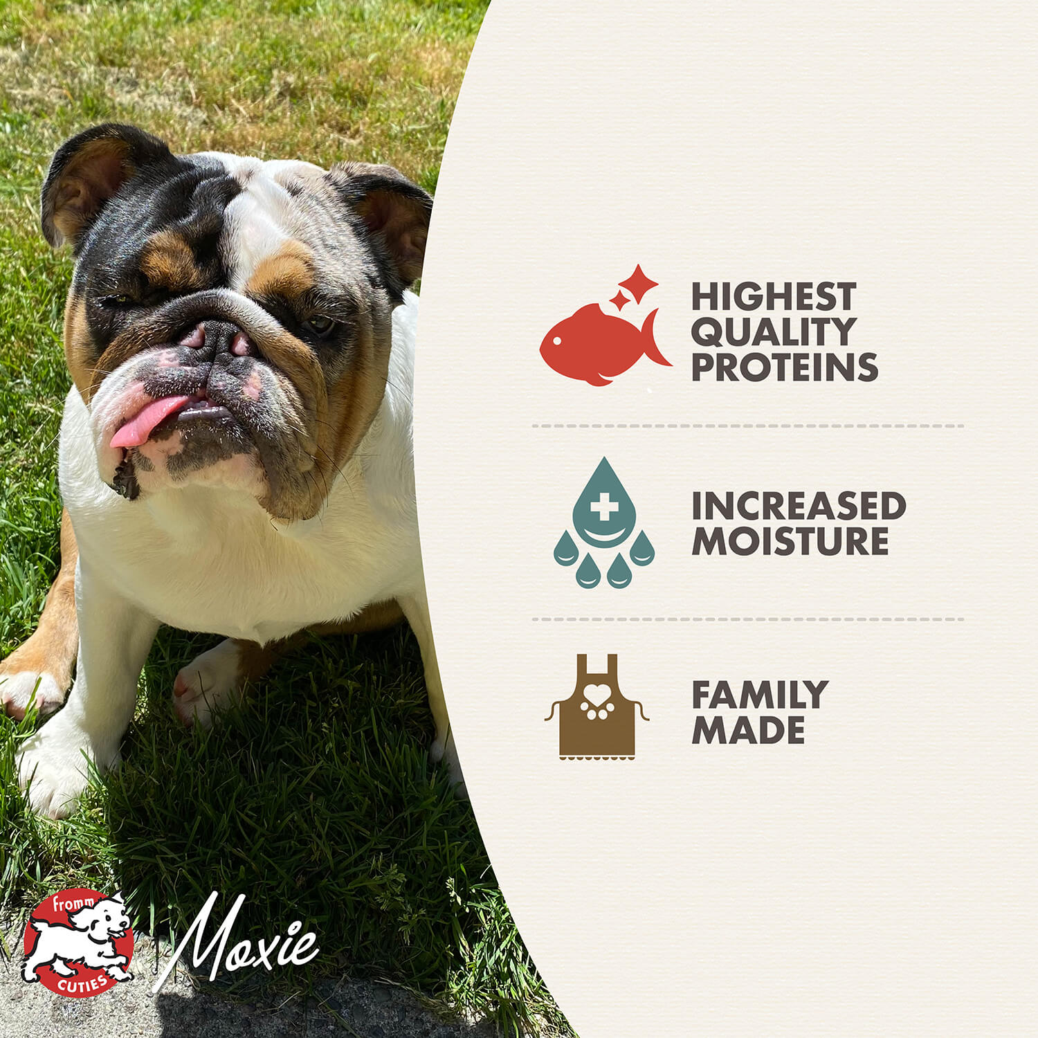 Fromm Seafood Medley Pâté Wet Dog Food - 12.2oz