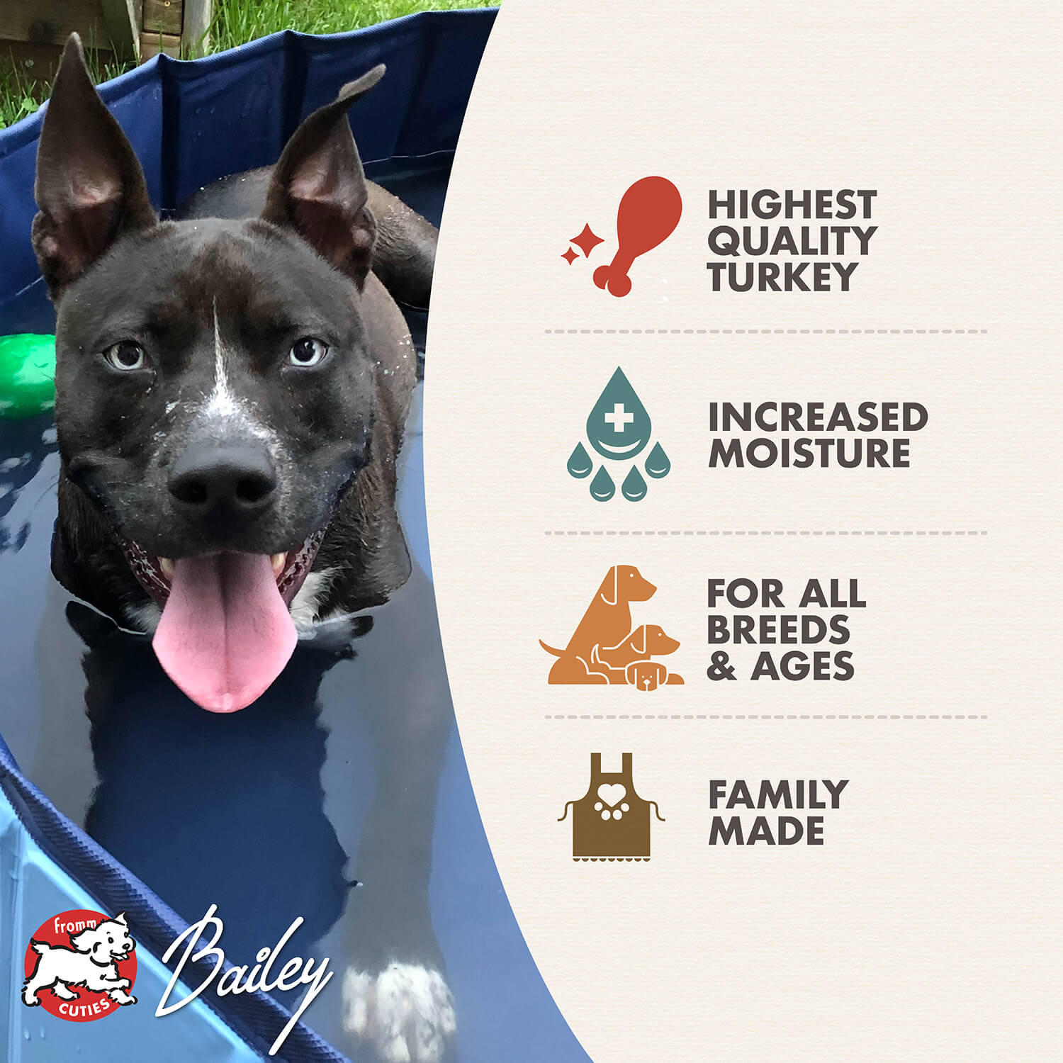 Fromm Turkey & Pumpkin Pâté Wet Dog Food - 12.2oz