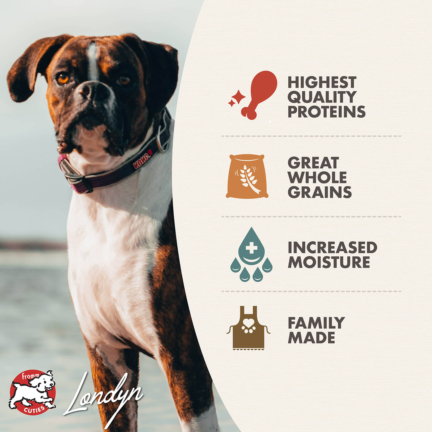 Fromm Turkey, Duck, & Sweet Potato Pâté Wet Dog Food - 12.2oz