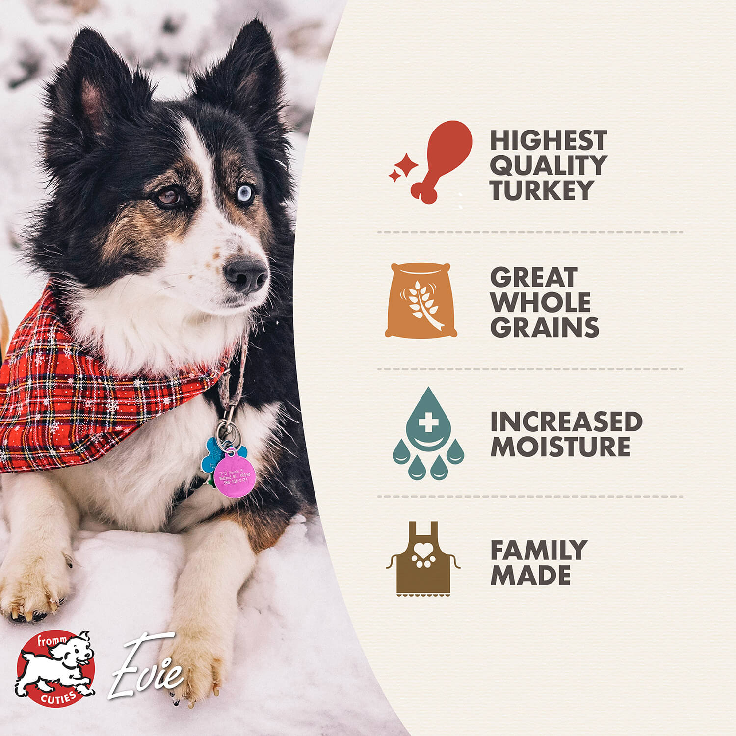 Fromm Turkey Pâté Wet Dog Food - 12.2oz