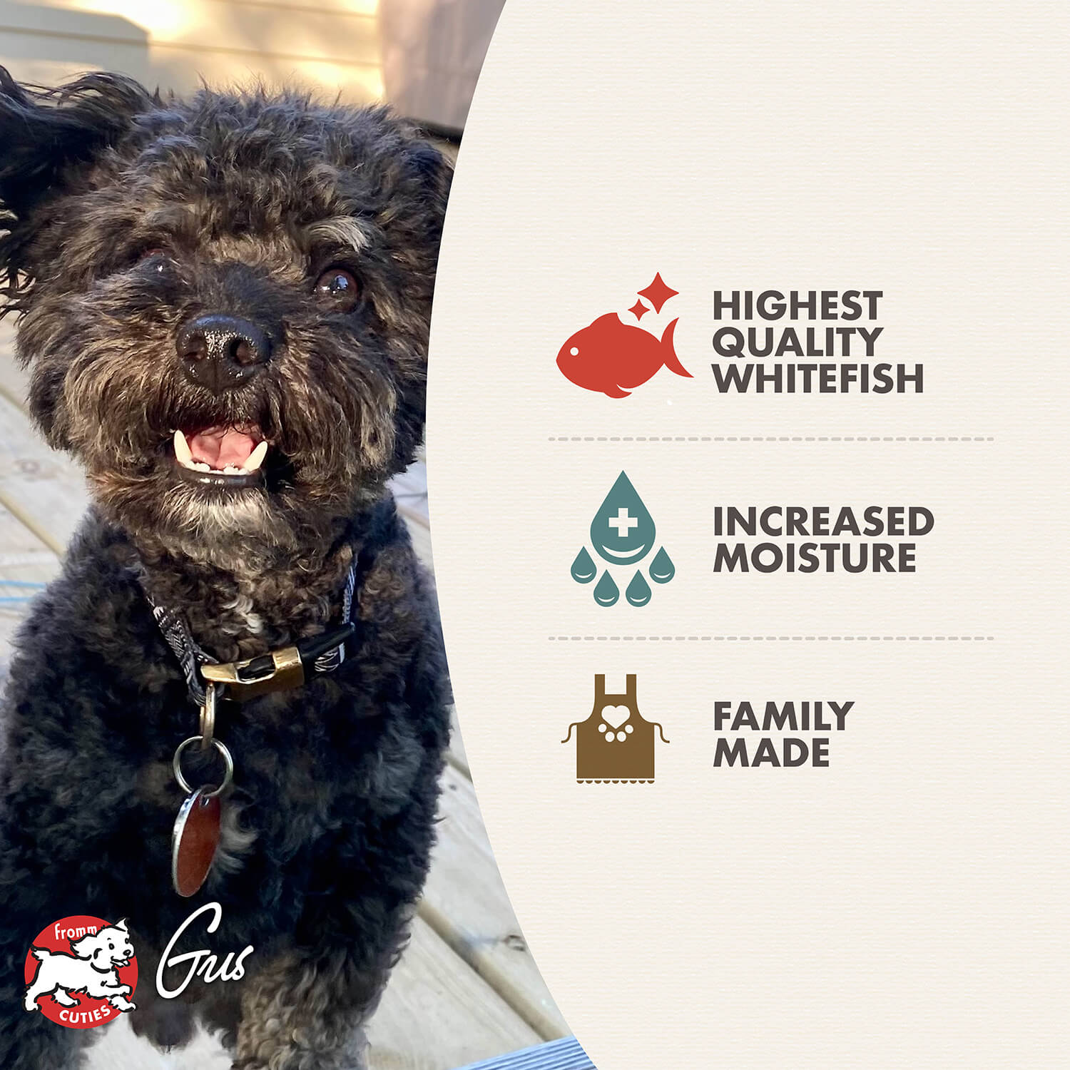 Fromm Whitefish & Lentil Pâté Wet Dog Food - 12.2oz