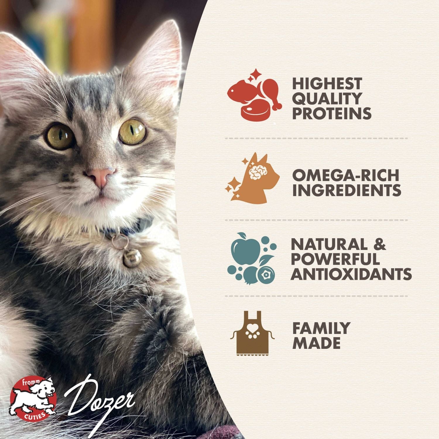 Fromm Kitten Gold Dry Cat Food - 4.5kg