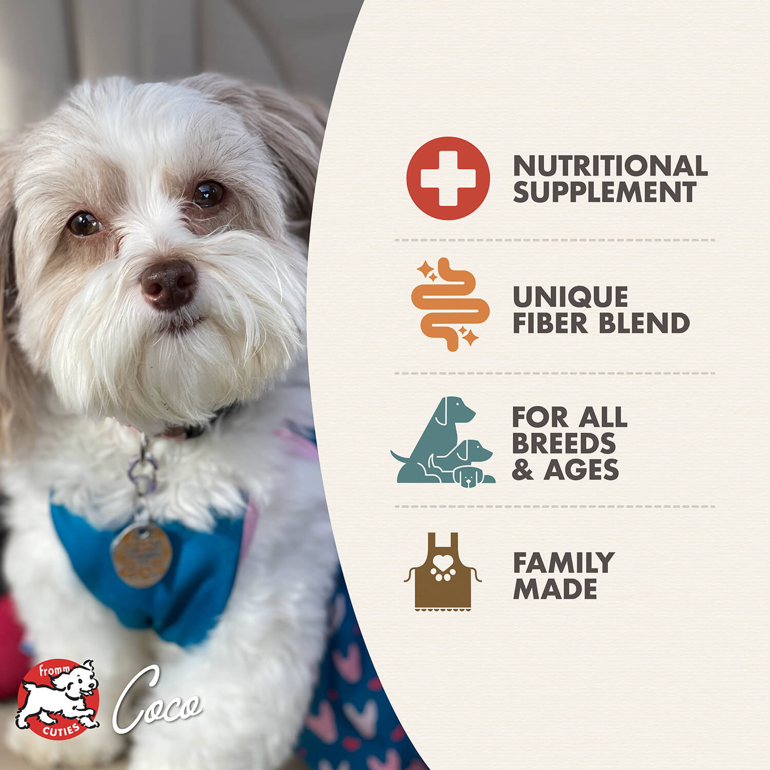 Fromm Nutritionals Chicken Formula Wet Dog Food - 12.2oz